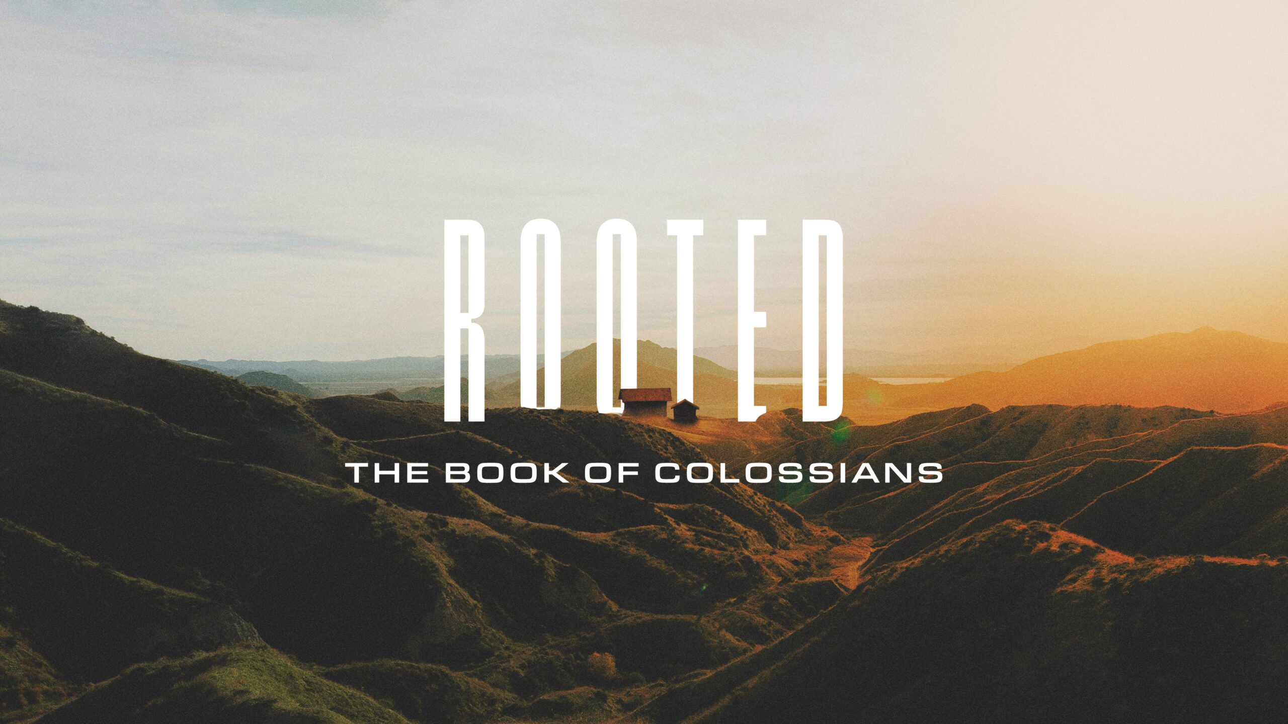 Rooted | The Book of Colossians graphic
