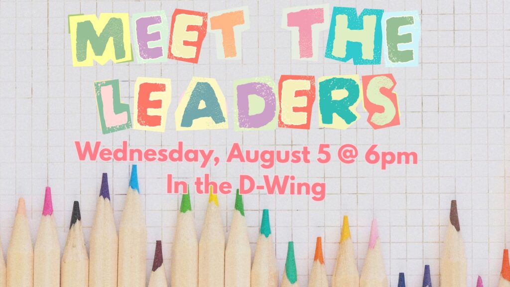 Meet the Leader slide